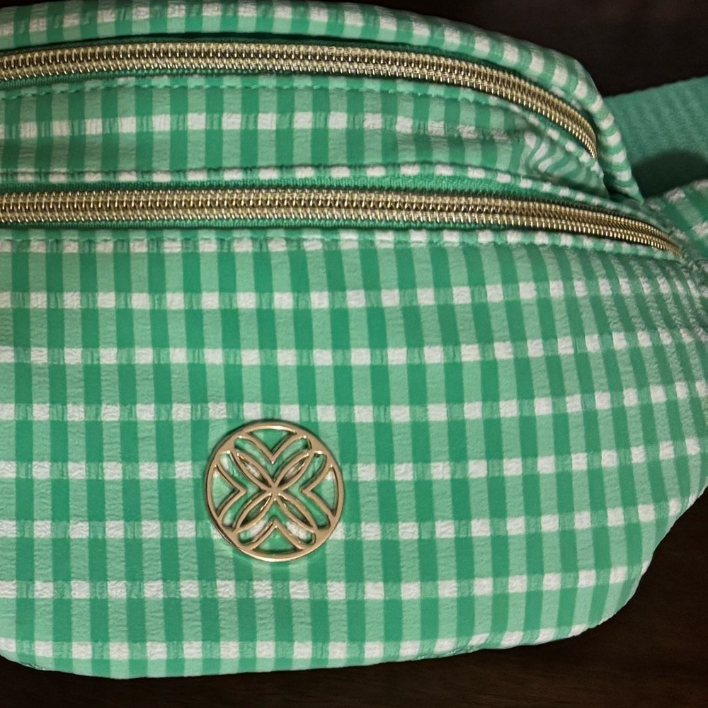 Lilly Pulitzer Glenna Belt Bag in a Fauna Green Performance Gingham - Picture 4 of 6
